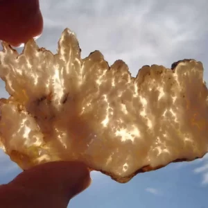 Nyedigger Plume Agate