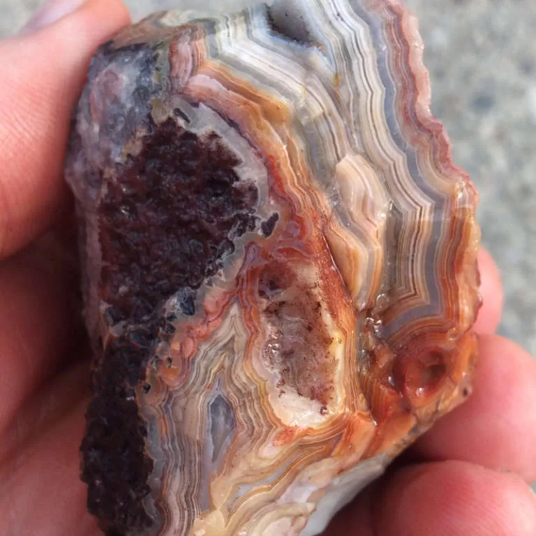 Laguna Lace Agate