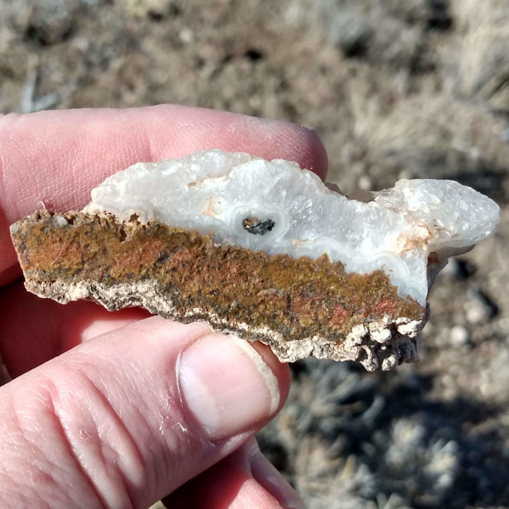 Plume Agate from Glenwood, Utah