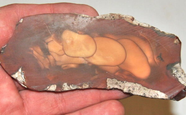 Bruneau Jasper