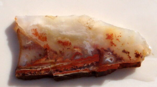 Carey Plume Agate