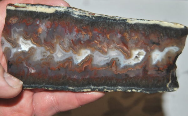 Christmas Tree Plume Agate