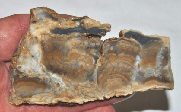 Fantan Agate