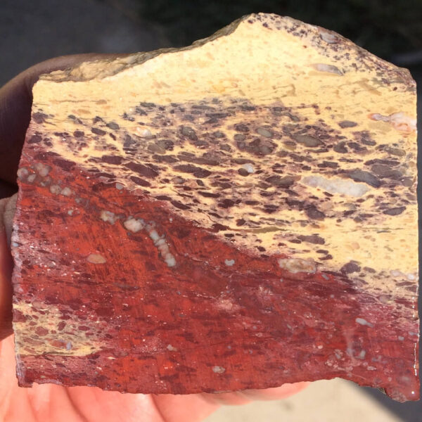 Marysville Rhyolite