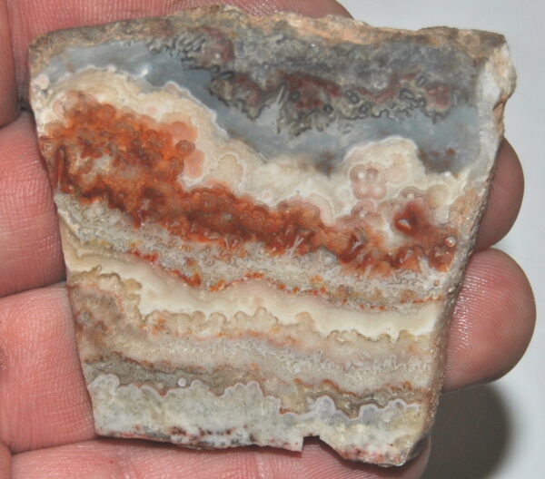 Crazy Lace Agate