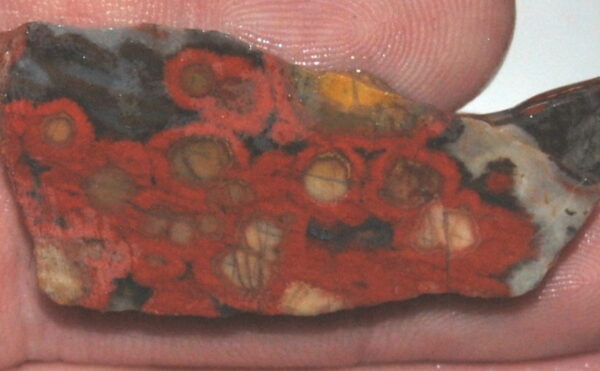 Morgan Hill Poppy Jasper Lapidary Slab