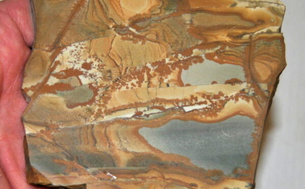 Nevada Picture Jasper