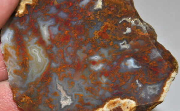 Red Moss Agate