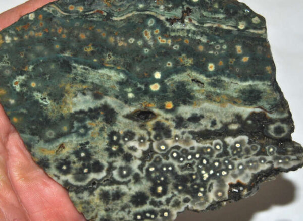 Ocean Jasper