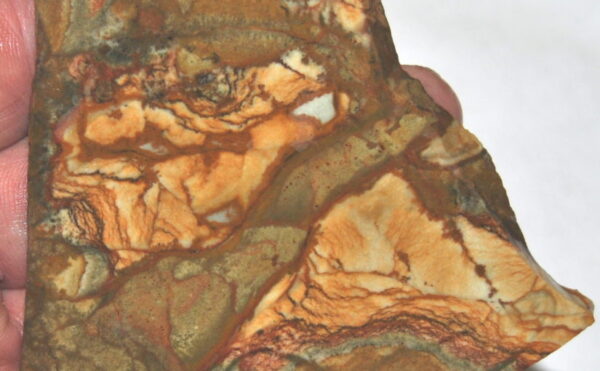 Owyhee Picture Jasper