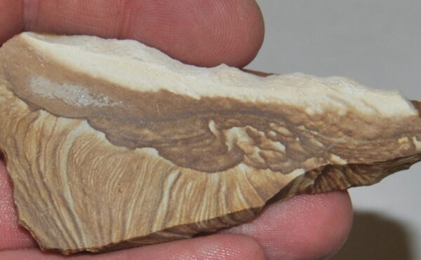 Palomino Picture Jasper