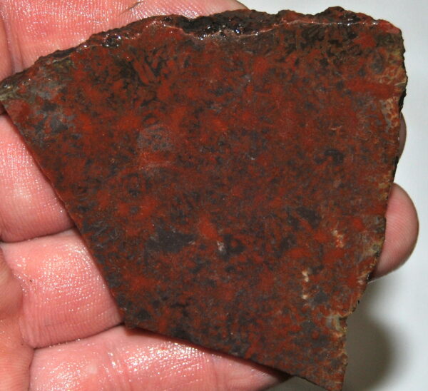 Red Carnation Jasper