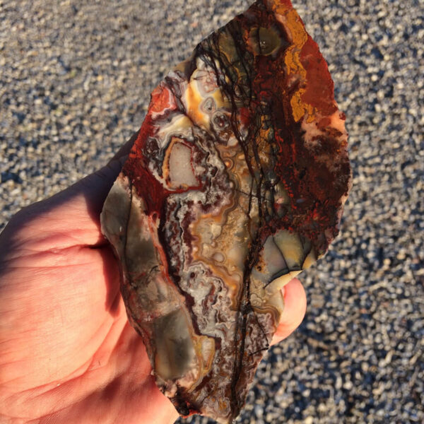 Red Crazy Lace Agate