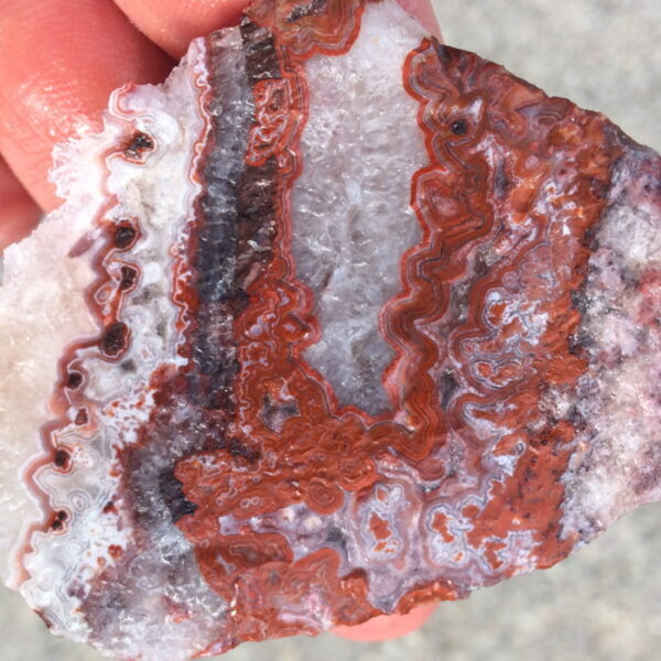 Mexican Red Lace Agate