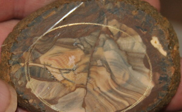 Royal Sahara Jasper