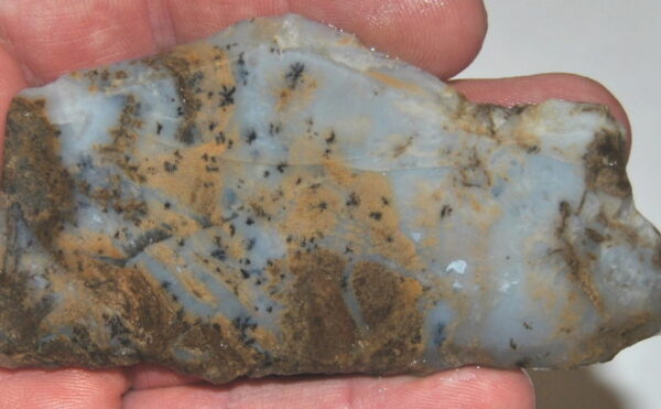 Sheep Creek Plume Agate