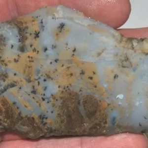 Sheep Creek Plume Agate