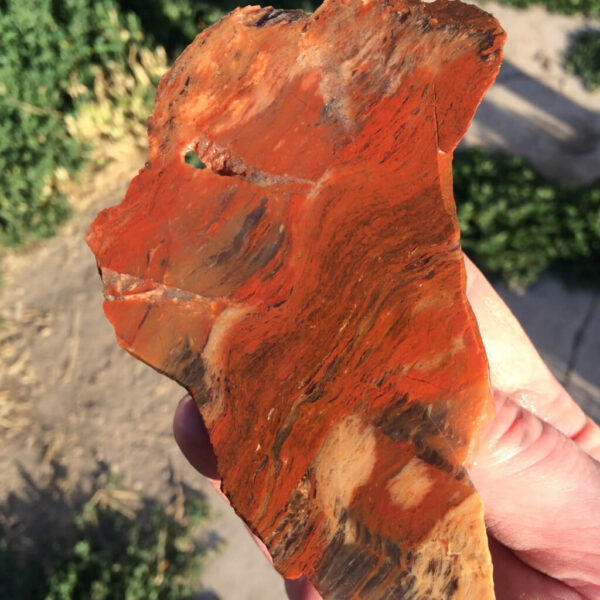 Utah Red Jasper