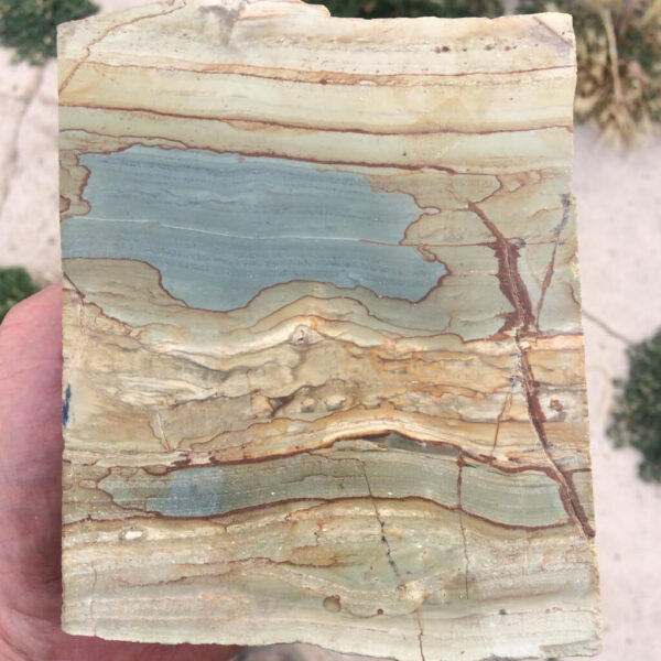 Succor Creek Picture Jasper