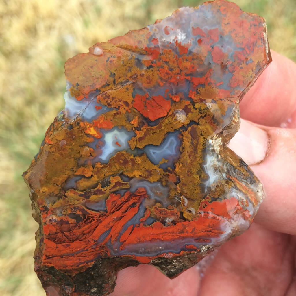 Utah Rainbow Jasper - Lapidary Slab