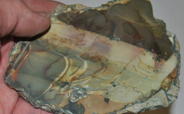 Willow Creek Jasper