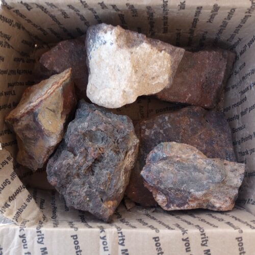Box of Barrel Cactus Moss Agate