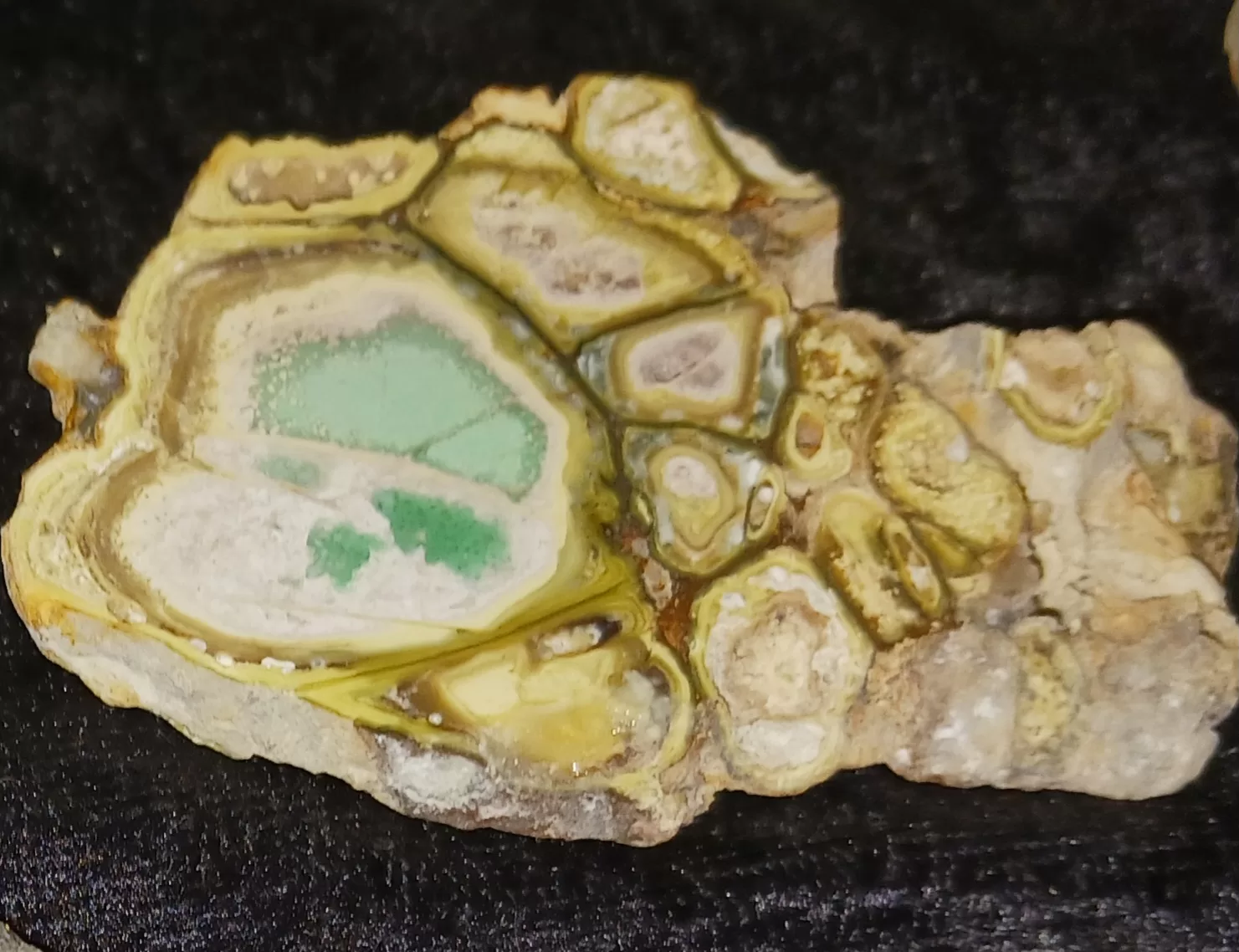 Clay Canyon Variscite from Fairfield, Utah