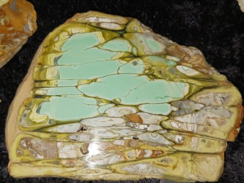 A good example of Clay Canyon Variscite from Fairfield, Utah.