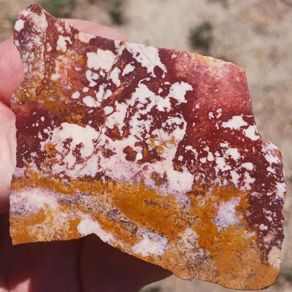 Indian Blanket Jasper lapidary slab