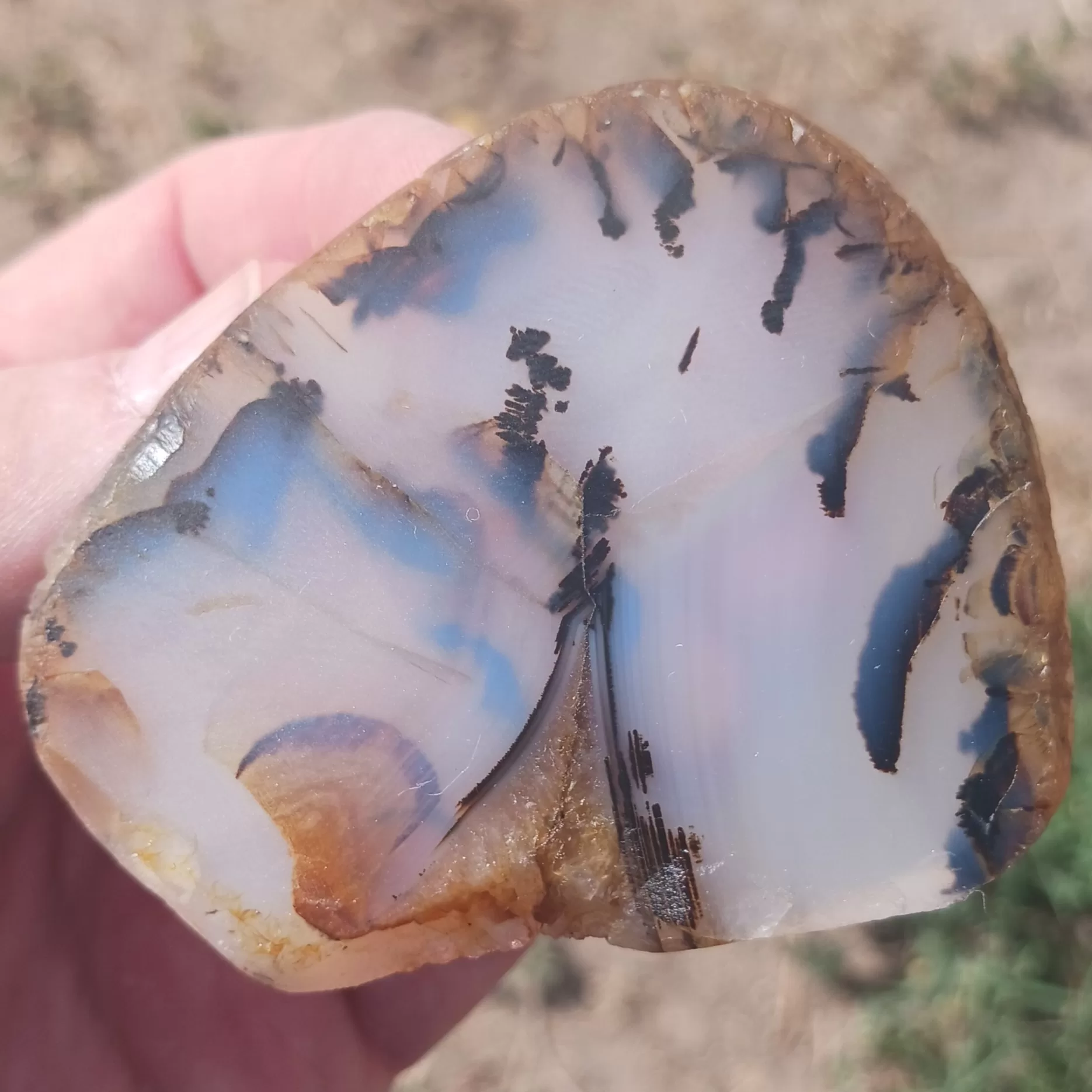 Montana Agate