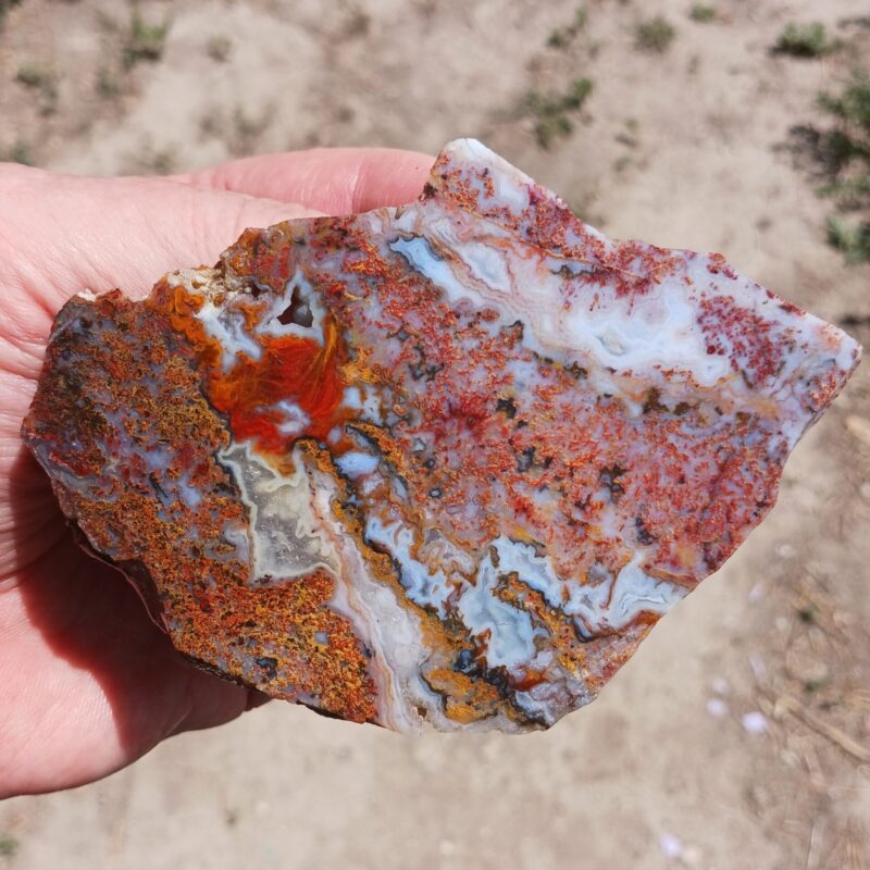 Aztec Agate lapidary slab from rock #2