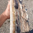 Cross section view of this beautiful Bubble Opal.