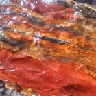 Mary Ellen Jasper, close-up