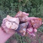 Indian Blanket Jasper