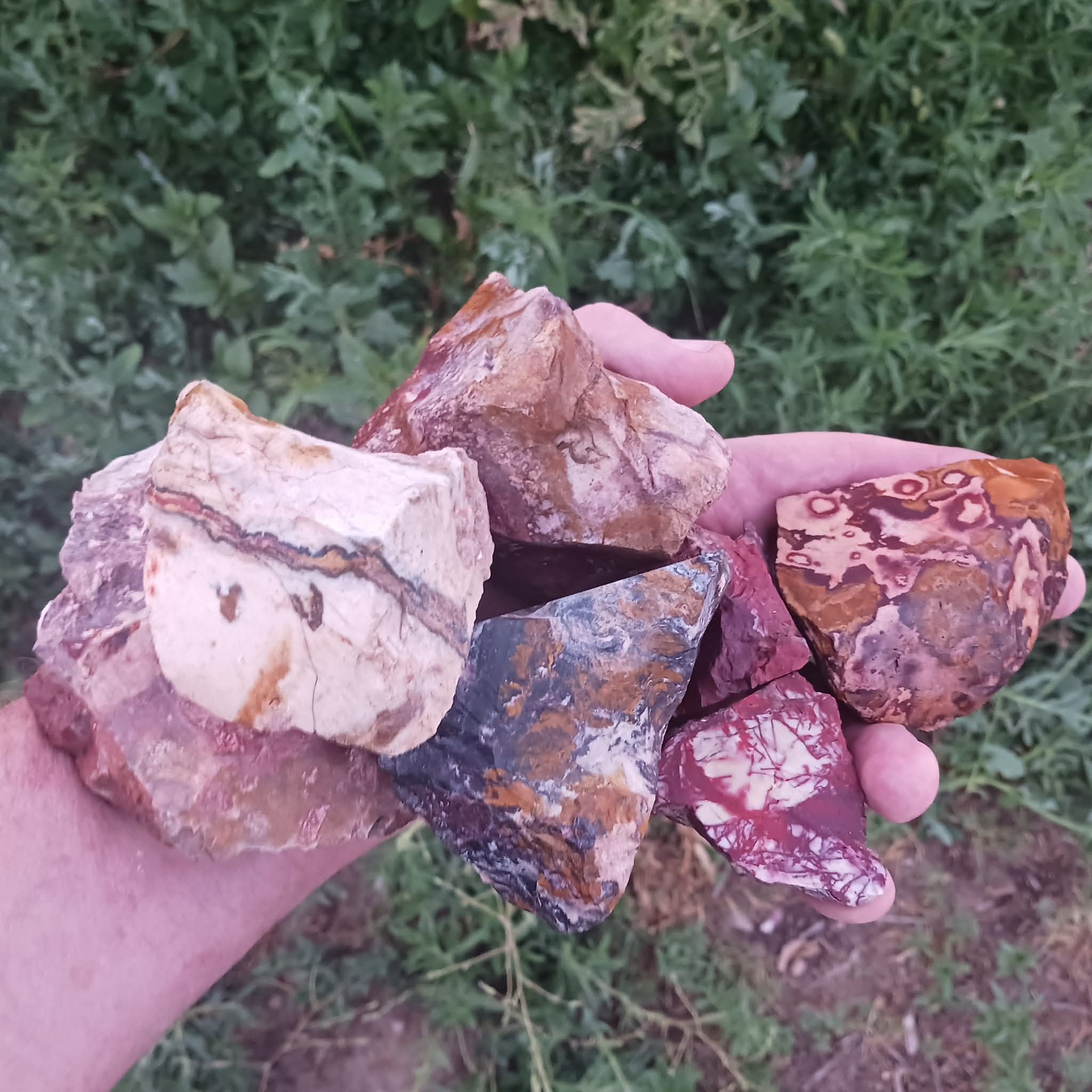 Indian Blanket Jasper