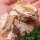 Indian Blanket Jasper