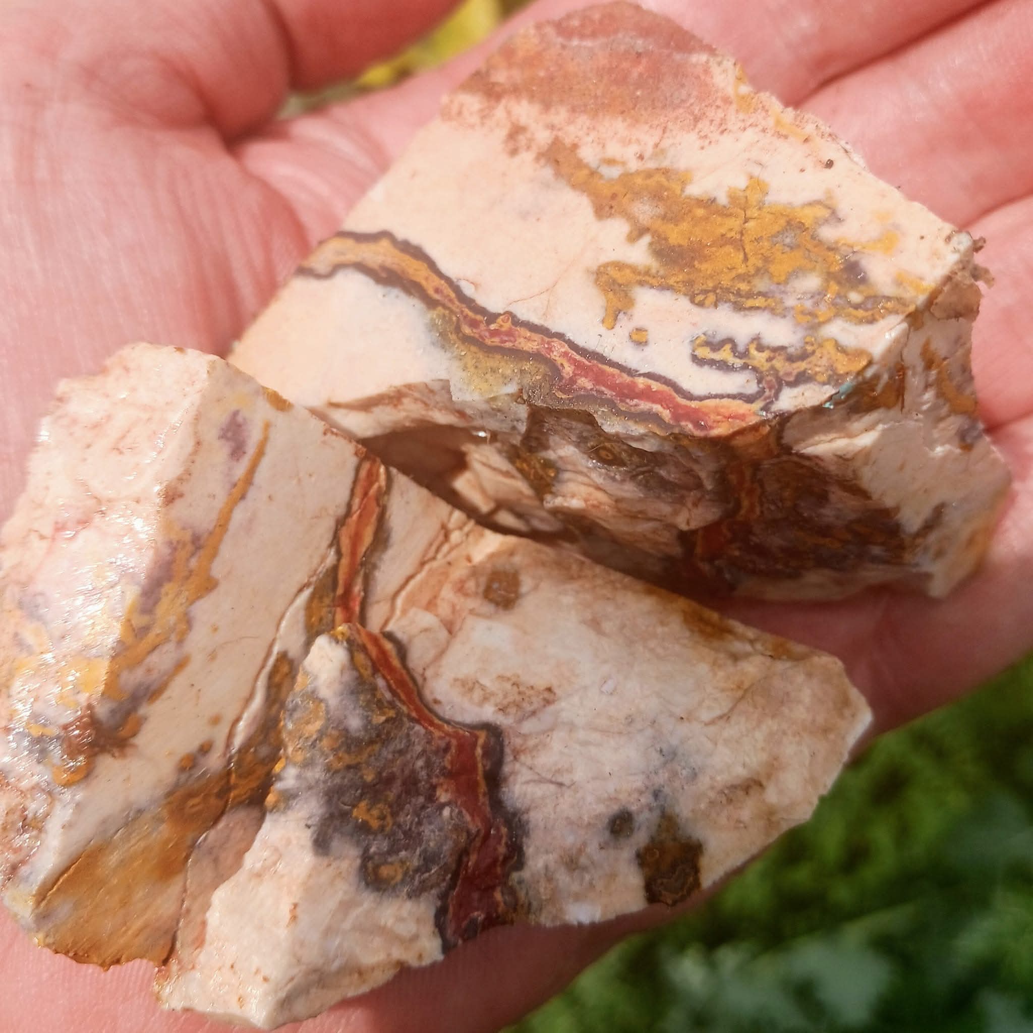 indian_blanket_jasper1 Indian Blanket Jasper