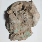 Lucin Variscite Rough