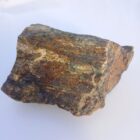 Green Petrified Wood Moss Agate