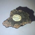 St. John's Petrified Wood