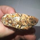 Unknown Plume Agate