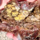 Wendover Plume Agate