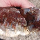 Wendover Plume Agate
