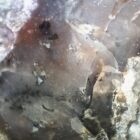 Tiffany Stone (Chalcedony)