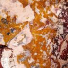 Indian Blanket Jasper Rough