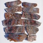 Barrel Cactus Moss Agate Rock #2