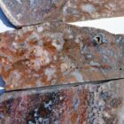 Barrel Cactus Moss Agate Rock #2