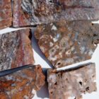 Barrel Cactus Moss Agate Rock #2
