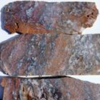 Barrel Cactus Moss Agate Rock #2