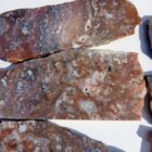 Barrel Cactus Moss Agate Rock #2